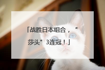 战胜日本组合，“莎头”3连冠！