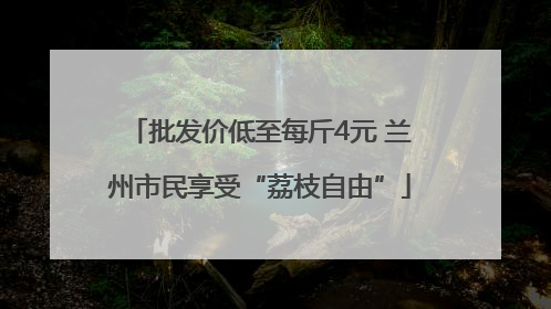 批发价低至每斤4元 兰州市民享受“荔枝自由”
