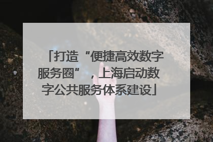 打造“便捷高效数字服务圈”，上海启动数字公共服务体系建设