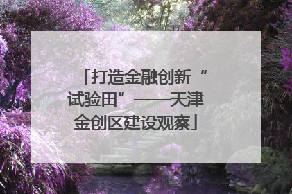 打造金融创新“试验田”——天津金创区建设观察