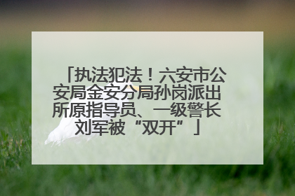 执法犯法！六安市公安局金安分局孙岗派出所原指导员、一级警长刘军被“双开”