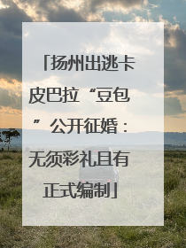 扬州出逃卡皮巴拉“豆包”公开征婚：无须彩礼且有正式编制