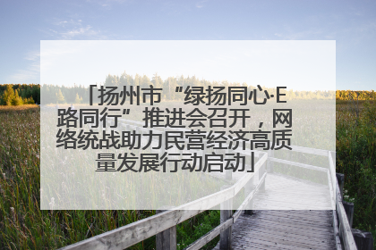 扬州市“绿扬同心·E路同行”推进会召开，网络统战助力民营经济高质量发展行动启动
