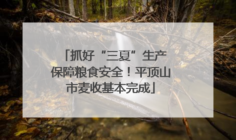 抓好“三夏”生产 保障粮食安全！平顶山市麦收基本完成