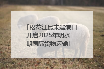 松花江最末端港口开启2025年明水期国际货物运输