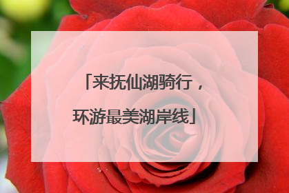 来抚仙湖骑行，环游最美湖岸线