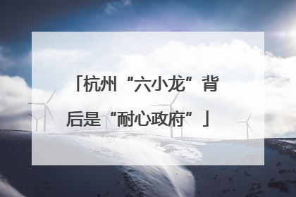 杭州“六小龙”背后是“耐心政府”