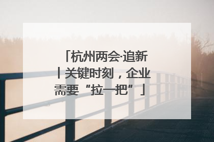 杭州两会·追新丨关键时刻，企业需要“拉一把”