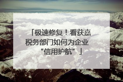 极速修复！看获嘉税务部门如何为企业“信用护航”