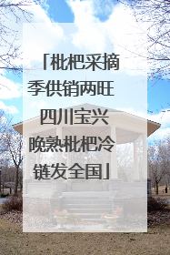 枇杷采摘季供销两旺 四川宝兴晚熟枇杷冷链发全国