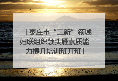 枣庄市“三新”领域妇联组织领头雁素质能力提升培训班开班