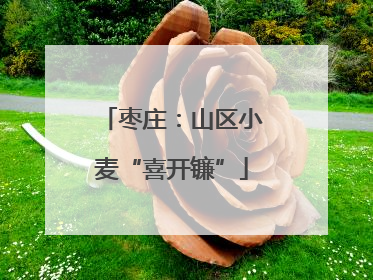 枣庄：山区小麦“喜开镰”
