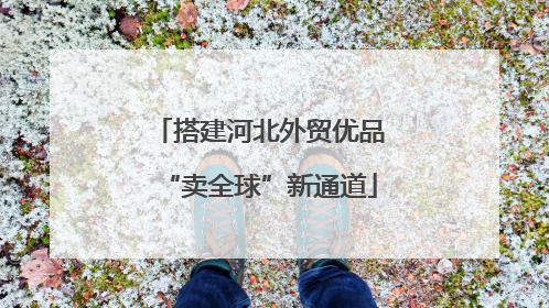 搭建河北外贸优品“卖全球”新通道
