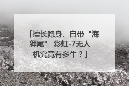 擅长隐身、自带“海狸尾” 彩虹-7无人机究竟有多牛？