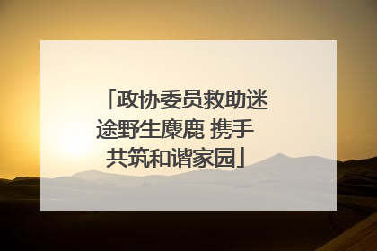 政协委员救助迷途野生麋鹿 携手共筑和谐家园