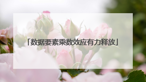 数据要素乘数效应有力释放