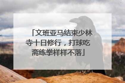 文班亚马结束少林寺十日修行，打球吃斋练拳样样不落