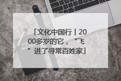 文化中国行丨2000多岁的它，“飞”进了寻常百姓家