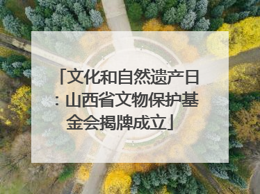 文化和自然遗产日：山西省文物保护基金会揭牌成立