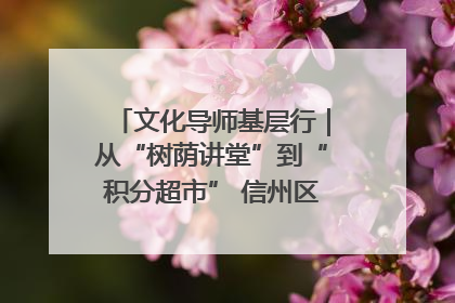 文化导师基层行｜从“树荫讲堂”到“积分超市” 信州区基层治理有实招
