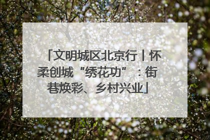 文明城区北京行丨怀柔创城“绣花功”：街巷焕彩、乡村兴业