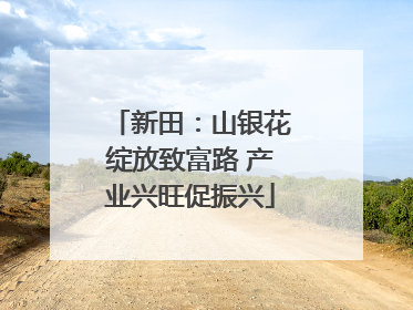 新田：山银花绽放致富路 产业兴旺促振兴