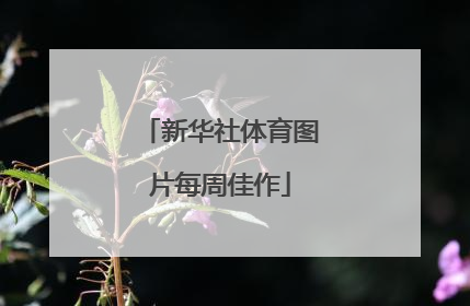新华社体育图片每周佳作