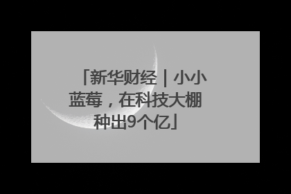 新华财经｜小小蓝莓，在科技大棚种出9个亿