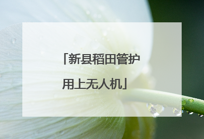 新县稻田管护用上无人机
