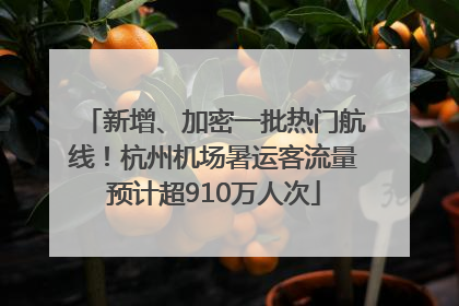 新增、加密一批热门航线！杭州机场暑运客流量预计超910万人次