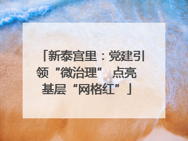 新泰宫里：党建引领“微治理” 点亮基层“网格红”