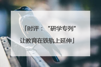 时评：“研学专列”让教育在铁轨上延伸