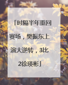 时隔半年重回赛场，樊振东上演大逆转，3比2徐瑛彬