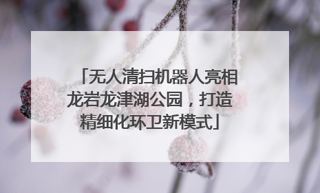 无人清扫机器人亮相龙岩龙津湖公园，打造精细化环卫新模式