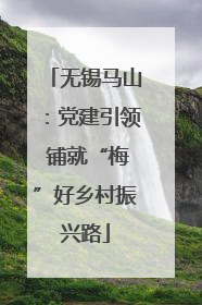 无锡马山：党建引领 铺就“梅”好乡村振兴路