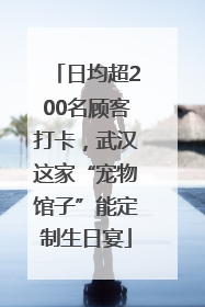 日均超200名顾客打卡，武汉这家“宠物馆子”能定制生日宴