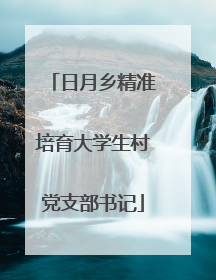 日月乡精准培育大学生村党支部书记