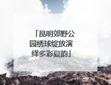 昆明郊野公园绣球绽放演绎多彩夏韵