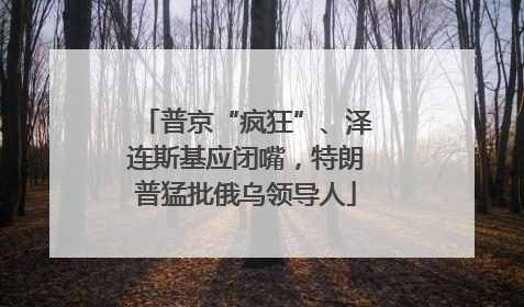 普京“疯狂”、泽连斯基应闭嘴，特朗普猛批俄乌领导人