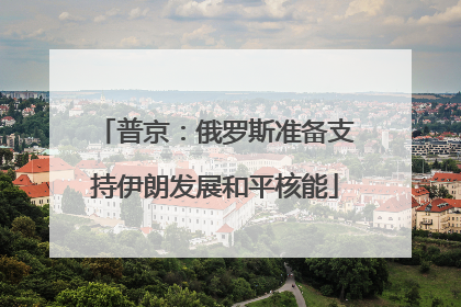 普京：俄罗斯准备支持伊朗发展和平核能