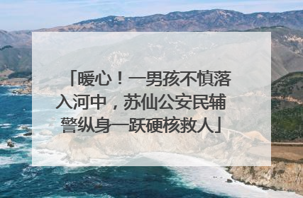 暖心！一男孩不慎落入河中，苏仙公安民辅警纵身一跃硬核救人