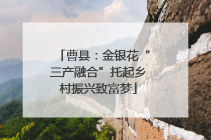曹县：金银花“三产融合”托起乡村振兴致富梦