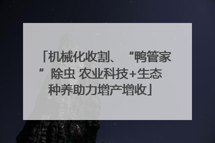 机械化收割、“鸭管家”除虫 农业科技+生态种养助力增产增收