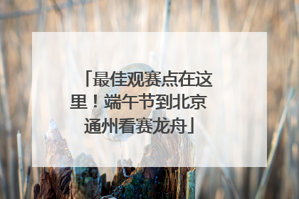 最佳观赛点在这里！端午节到北京通州看赛龙舟