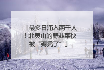 最多日涌入两千人！北灵山的野韭菜快被“薅秃了”