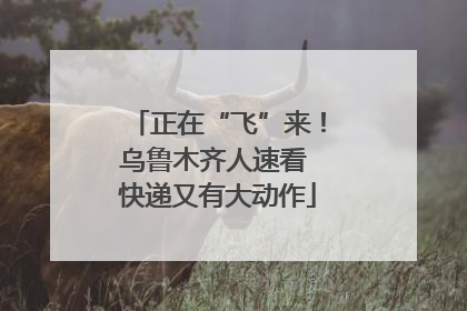 正在“飞”来！乌鲁木齐人速看 快递又有大动作