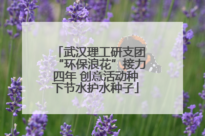 武汉理工研支团“环保浪花”接力四年 创意活动种下节水护水种子