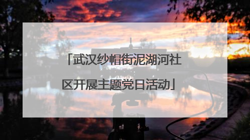 武汉纱帽街泥湖河社区开展主题党日活动