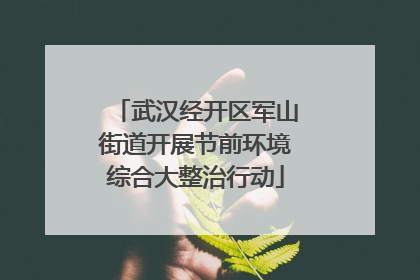 武汉经开区军山街道开展节前环境综合大整治行动