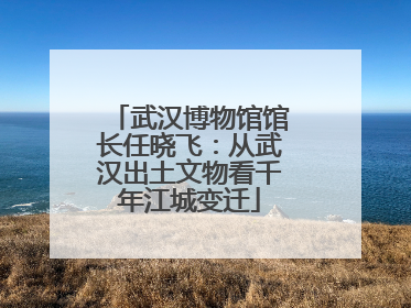 武汉博物馆馆长任晓飞：从武汉出土文物看千年江城变迁